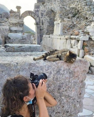 Illustration de l'article : 17 photos reflétant la joie de vivre avec des chiens et des chats