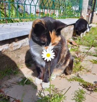 Illustration de l'article : 8 photos qui prouvent à quel point les animaux ont le don de nous faire sourire