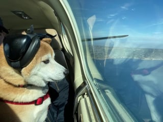 Illustration de l'article : 8 photos qui prouvent à quel point les animaux ont le don de nous faire sourire