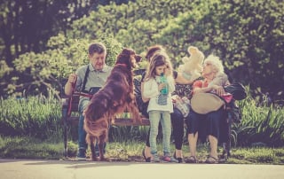 Illustration de l'article : Selon un sondage, 84 % des Français aiment les chiens !