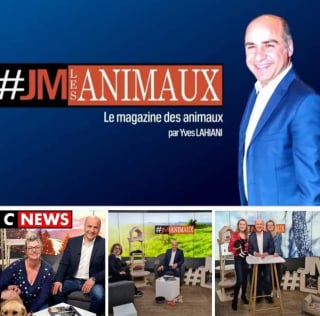 Illustration de l'article : Une nouvelle émission digitale consacrée aux animaux est née : #JMLesAnimaux est à découvrir sur le site de CNews