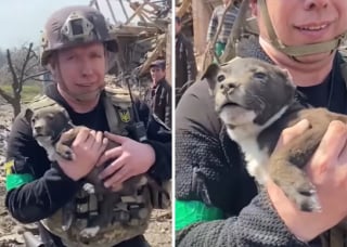 Illustration de l'article : La police ukrainienne sort un chien des décombres et le restitue à son propriétaire de 77 ans qui a tout perdu (vidéo)