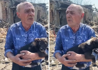 Illustration de l'article : La police ukrainienne sort un chien des décombres et le restitue à son propriétaire de 77 ans qui a tout perdu (vidéo)