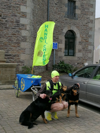 Illustration de l'article : Un homme handicapé de 56 ans se lance dans un défi : courir 600 km avec ses 3 chiens en faveur d'une association canine