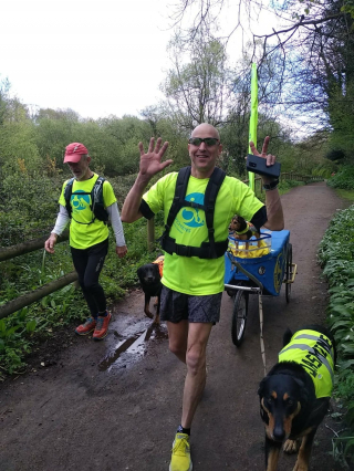 Illustration de l'article : Un homme handicapé de 56 ans se lance dans un défi : courir 600 km avec ses 3 chiens en faveur d'une association canine