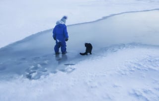 Illustration de l'article : 12 photos poétiques relatant l'amitié entre un petit garçon et son chat