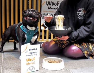 Illustration de l'article : Manger au restaurant avec son chien ? C'est désormais possible grâce à un restaurateur japonais proposant un menu pour chiens !