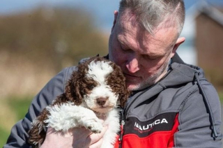 Illustration de l'article : Ils adoptent un chiot qui déterre un trésor lors de sa première promenade 