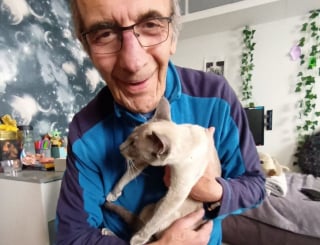 Illustration de l'article : Une chatte siamoise disparue, retrouvée 6 jours plus tard à 450 km de chez elle par un chien