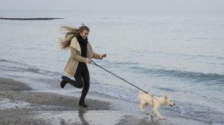 Illustration de l'article : Partir en vacances avec son animal le cœur léger ? C'est possible grâce au kit de Mars Petcare !