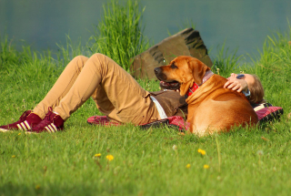 Illustration de l'article : Partir en vacances avec son animal le cœur léger ? C'est possible grâce au kit de Mars Petcare !