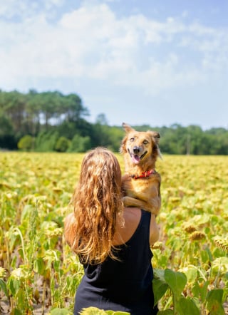 Illustration de l'article : 14 magnifiques photos de Tofu, chienne traumatisée que rien n'apaise autant que les fleurs