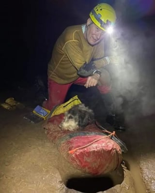 Illustration de l'article : Opération de sauvetage délicate dans une grotte pour un chien perdu depuis près de 2 mois