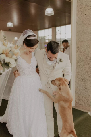 Illustration de l'article : Un chien errant boiteux s'invite à un mariage, le couple prend une décision inattendue à son sujet