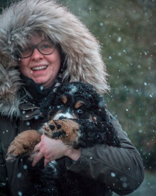 Illustration de l'article : 20 photos d'un Bouvier Bernois prises pendant 4 ans et montrant l'évolution de ce magnifique chien