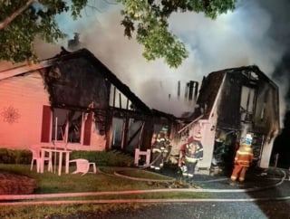 Illustration de l'article : En donnant l'alerte, un chien héroïque sauve sa famille endormie de l'incendie ravageant la maison