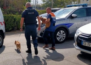 Illustration de l'article : 2 chiens découverts enfermés dans une voiture en pleine canicule, la police intervient