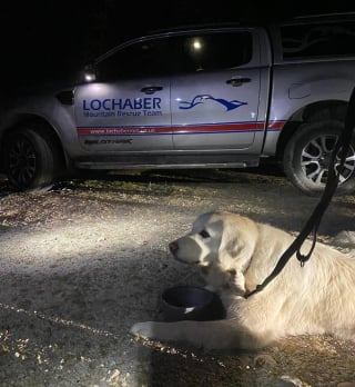 Illustration de l'article : A bout de forces lors d'une promenade en montagne, une chienne en surpoids s'effondre et déclenche l'intervention des secours