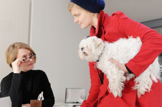 Illustration de l'article : 20 photos de chiens ravis d'accompagner leur humain au travail