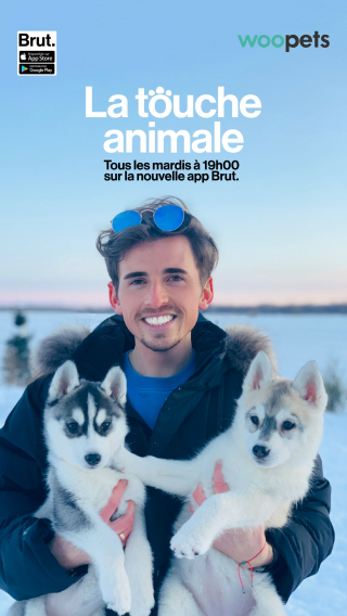 Illustration de l'article : « La Touche Animale », le nouveau show qui répond aux questions des amoureux des animaux à découvrir sur l’application Brut.