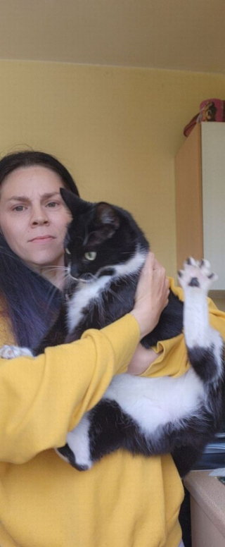 Illustration de l'article : Abandonné par sa mère et gravement malade, un chat ayant survécu par miracle suscite un bel élan de solidarité