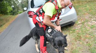 Illustration de l'article : Des maîtres-chiens bénévoles à la recherche active d’un homme disparu en Dordogne