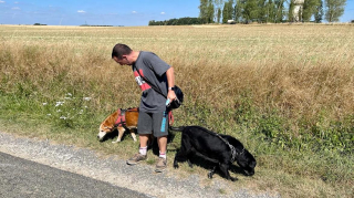 Illustration de l'article : Cette chienne endeuillée par la disparition de sa maîtresse se voit offrir une seconde chance malgré son âge avancé