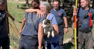 Illustration de l'article : Un chien se faufile dans un conduit souterrain et s'y coince, les pompiers constituent l'unique espoir de sa famille