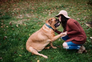 Illustration de l'article : 19 photos de personnes qui ne voulaient pas de chien mais qui ont fini par craquer