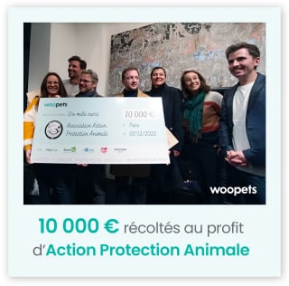 Illustration de l'article : Woopets reverse les 10 000 € de bénéfices de sa BD solidaire « Confidences » à l’association Action Protection Animale