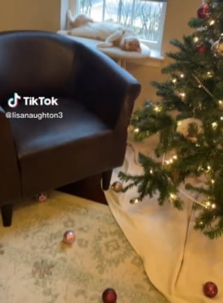 Illustration de l'article : Un chat s'en prend au sapin de Noël, puis s'accorde une petite sieste comme de rien n'était (vidéo)