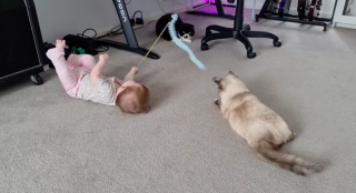 Illustration de l'article : Cette petite fille explose de joie lorsqu’elle joue avec les 2 chats de sa maison (vidéo)