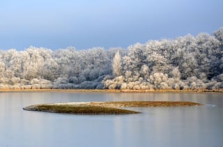 Illustration de l'article : Les pompiers volent à la rescousse de 2 jeunes chiens, pris au piège dans un lac gelé