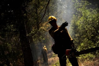 Illustration de l'article : Les sapeurs-pompiers volent au secours de 2 chiens tombés dans des cavités