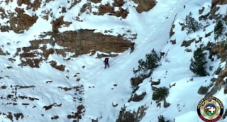 Illustration de l'article : Une chienne se perd au milieu d’un canyon enneigé, des bénévoles se mobilisent pour la sauver