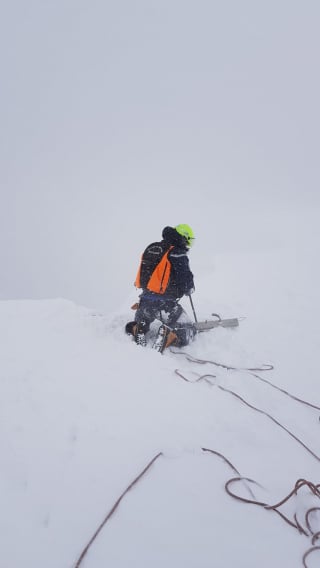 Illustration de l'article : Un chien-guide dévale la montagne sur 150 mètres, les gendarmes lancent une opération de sauvetage