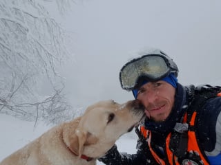 Illustration de l'article : Un chien-guide dévale la montagne sur 150 mètres, les gendarmes lancent une opération de sauvetage