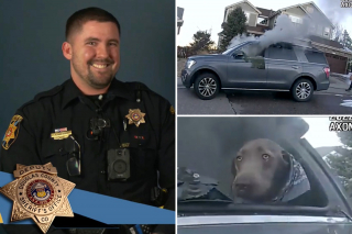 Illustration de l'article : Un policier se précipite vers une voiture en feu pour libérer un chien piégé à l'intérieur (vidéo)