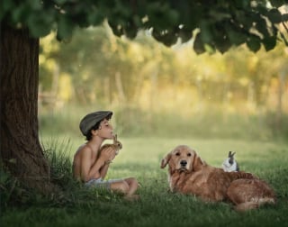 Illustration de l'article : 17 photos illustrant les douces aventures d'un garçon et de son Golden Retriever