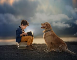 Illustration de l'article : 17 photos illustrant les douces aventures d'un garçon et de son Golden Retriever