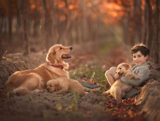 Illustration de l'article : 17 photos illustrant les douces aventures d'un garçon et de son Golden Retriever