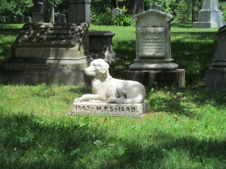 Illustration de l'article : Une proposition de loi pour que maître et animal de compagnie puissent reposer en paix dans la même tombe