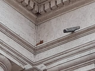 Illustration de l'article : Les pompiers du Vatican viennent en aide à un chat piégé sur une colonnade de la place Saint-Pierre