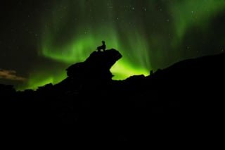 Illustration de l'article : 20 photos d'une beauté époustouflante représentant des chiens voyageurs