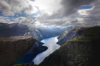 Illustration de l'article : 20 photos d'une beauté époustouflante représentant des chiens voyageurs