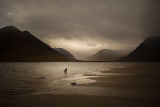 Illustration de l'article : 20 photos d'une beauté époustouflante représentant des chiens voyageurs