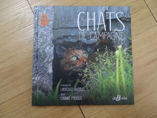 Illustration de l'article : « Chats de campagne », un livre pour les amoureux des chats et de leur esprit libre