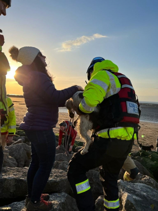 Illustration de l'article : Témoins, garde-côtes, drone et pompiers : sauvetage de grande ampleur pour une Springer Spaniel coincée sur des rochers