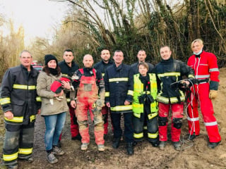 Illustration de l'article : Profondément enfoui dans un terrier, un Jack Russell revoit la lumière de jour grâce à l'intervention des pompiers