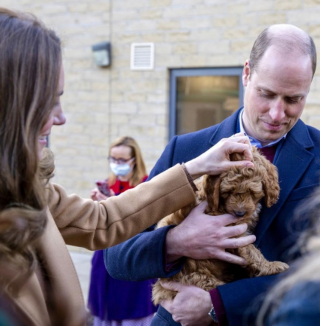 Illustration de l'article : Le prince William et sa femme Kate tombent sous le charme d'un chien de thérapie pendant une visite royale